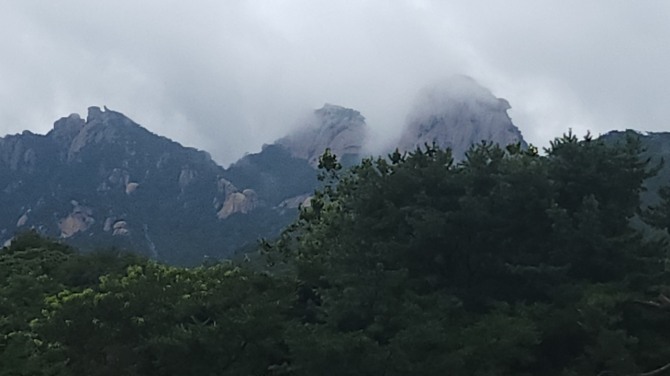 우중산행(雨中山行), 백승훈 시인