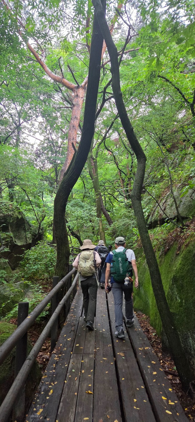 우중산행(雨中山行), 백승훈 시인