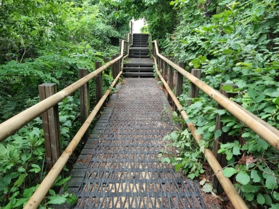 오봉산·소래산·만월산 등 주요 등산로 정비(만월산) 사진 제공=남동구