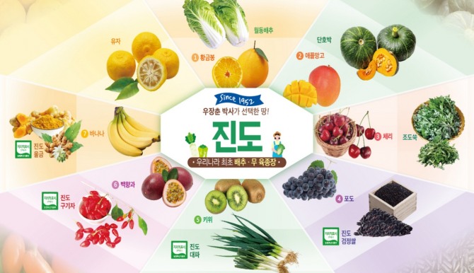 최근 진도군은 농산물 홍보 전단지(리플릿)를 제작해 온오프라인 홍보를 하며 판로 확보에 나서고 있다. / 전남 진도군=제공