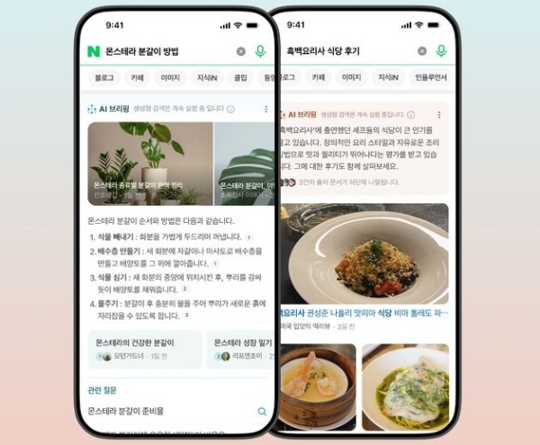 '네이버 AI 브리핑'을 이용하는 예시 화면. 사진=네이버