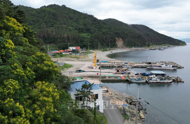 포항 발산리 모감주나무와 병아리꽃나무 군락지.사진=포항시.