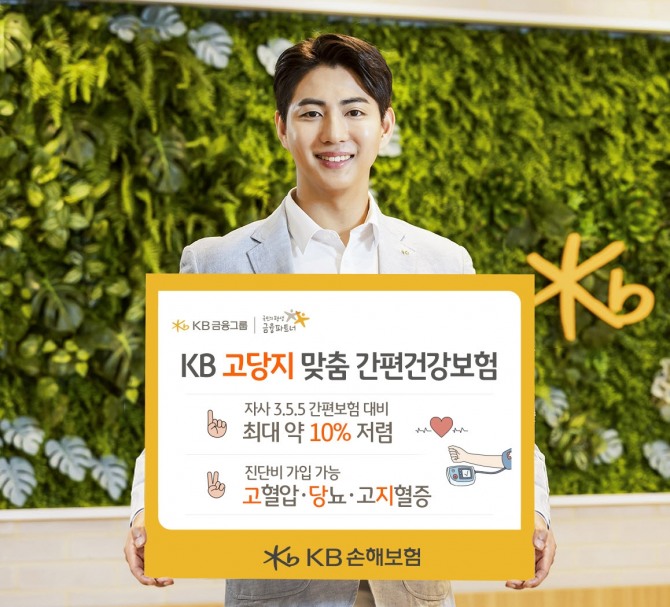 이미지=KB손해보험