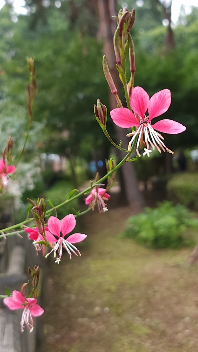 가을 예감, 백승훈 시인