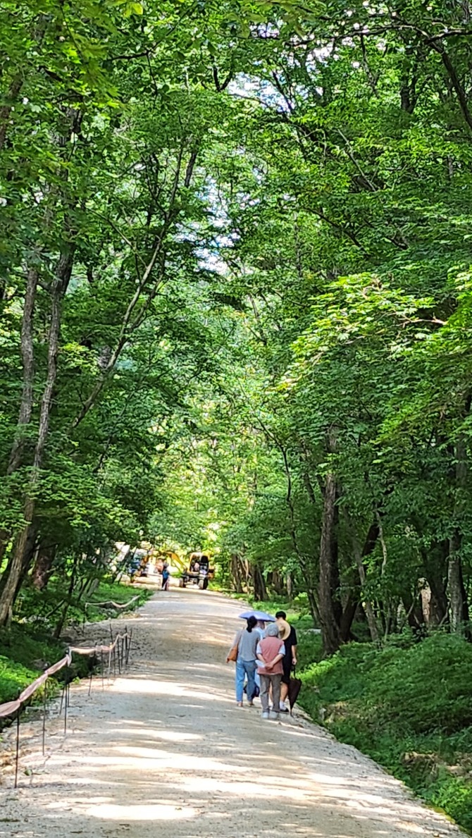 왕릉 산책, 백승훈 시인