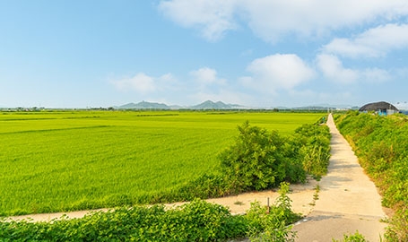 시암리철책길(김포).  사진=경기도