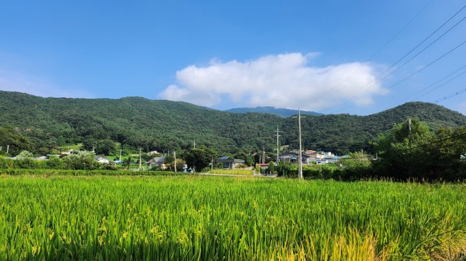 9월에게 건네는 인사, 백승훈 시인