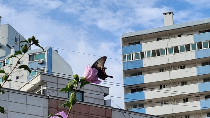 달 밝은 가을밤에. 백승훈 시인