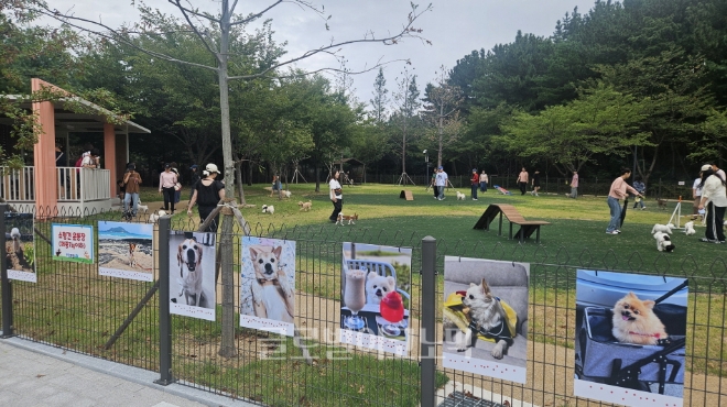 포항시 북구 흥해읍 죽천리 영일만 근린공원에 조성된 반려동물 테마공원 ‘포항펫필드’전경. 사진=포항시