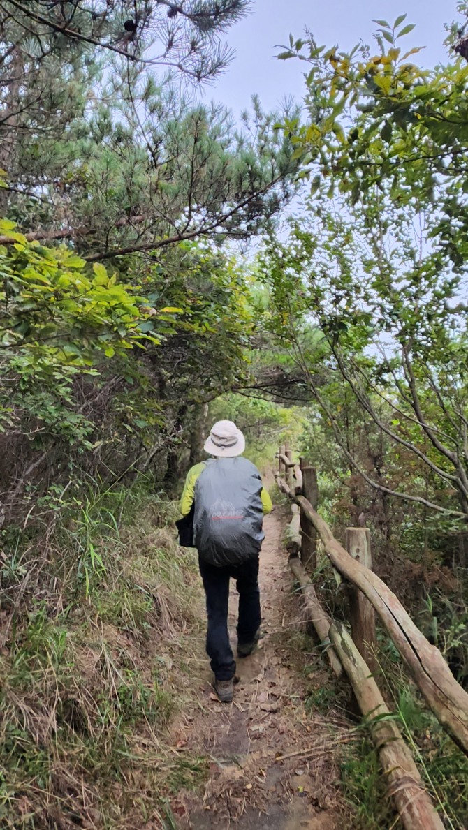 무의도를 걷다. 백승훈 시인