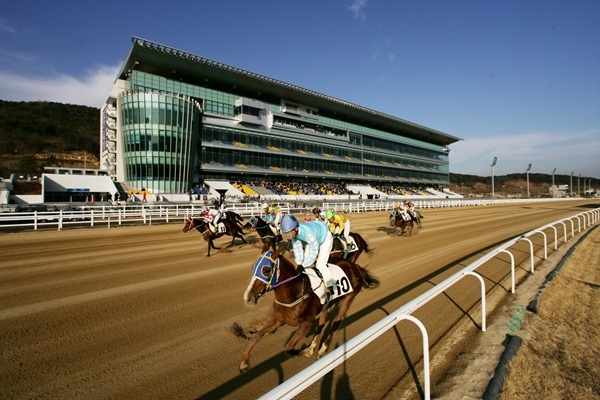 렛츠런파크 부산경남 경마 모습. 사진=렛츠런파크 부산경남