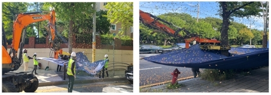 진동수확기를 활용한 열매채취 전경. 사진=인천시