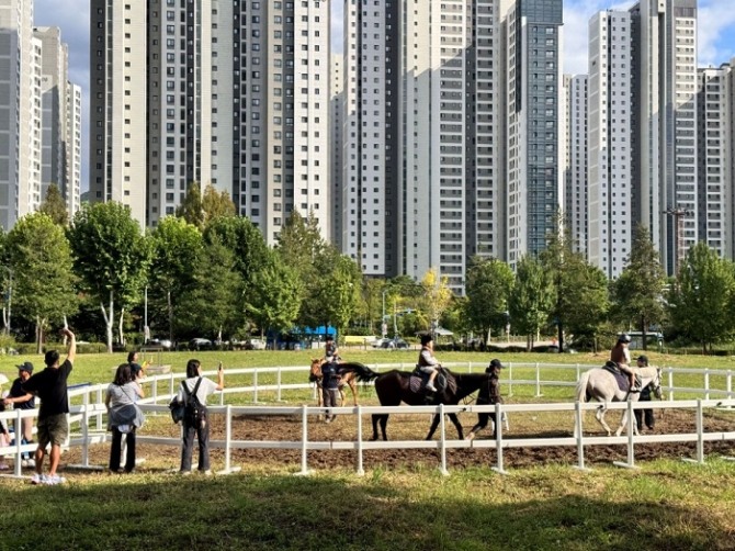 한국마사회는 농림축산식품부와 세종호수공원에서 11일까지 도심승마 체험행사를 전개한다고 10일 밝혔다. 사진=마사회