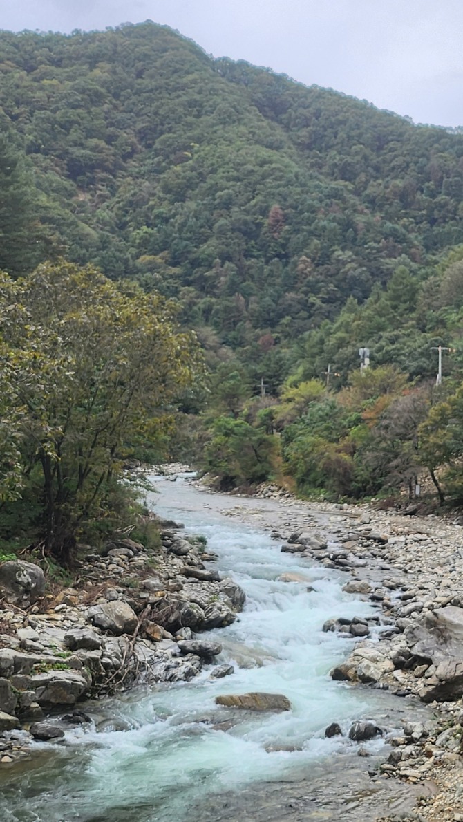 용추구곡의 가을 물소리, 백승훈 시인