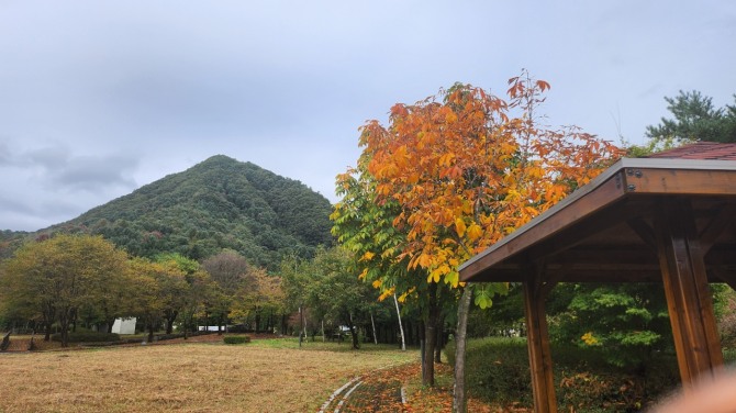 용추구곡의 가을 물소리, 백승훈 시인