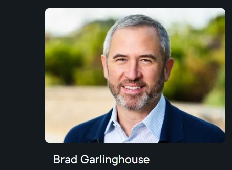 리플 CEO 갈링하우스 / 사진=리플랩스