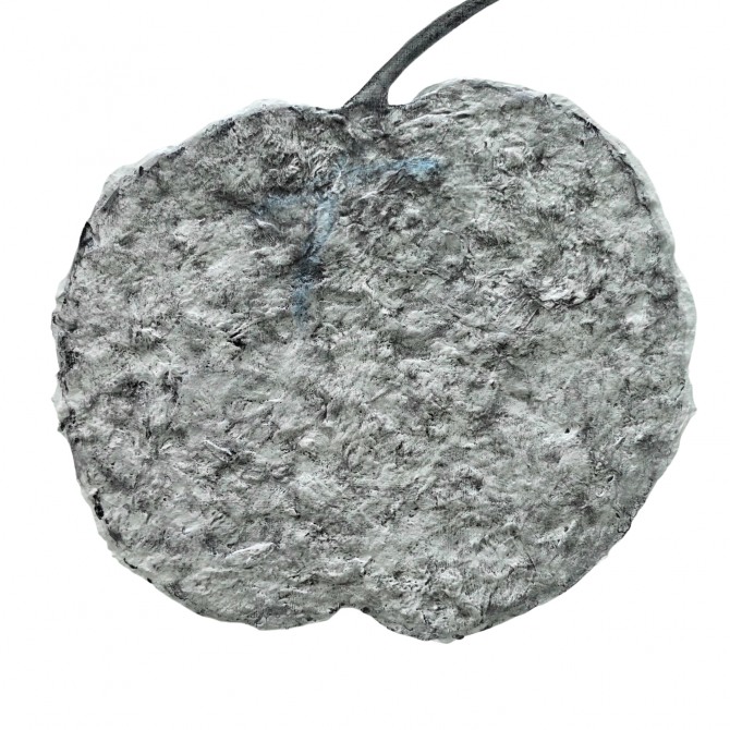 피리 부는 사과, 38 x 38cm, mixed media on canvas, 2025