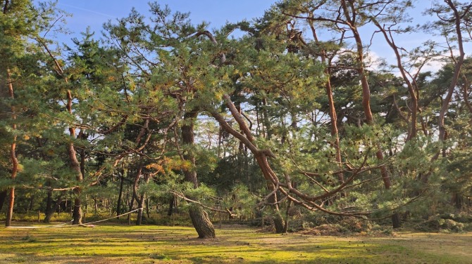 사릉(思陵)의 가을, 백승훈 시인
