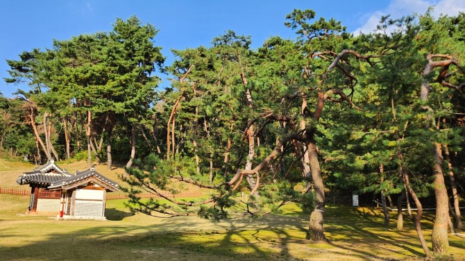 사릉(思陵)의 가을, 백승훈 시인