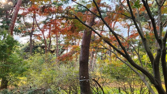 사릉(思陵)의 가을, 백승훈 시인
