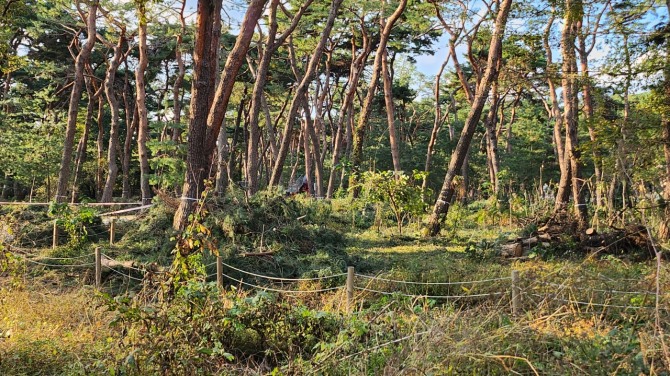 사릉(思陵)의 가을, 백승훈 시인