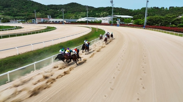 31일 렛츠런파크 부산경남이 11월 경마 계획을 발표했다. 항공촬영으로 본 경마 모습. 사진=렛츠런파크 부산경남