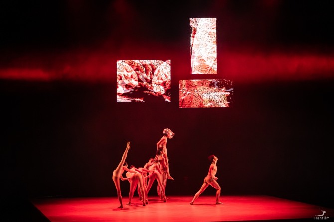 백연 안무의 '바디-시뮬라크르' ⓒHanfilm(김정환) 