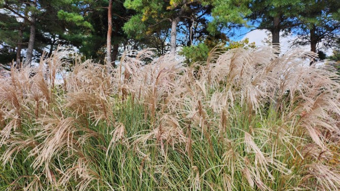 남산의 가을, 백승훈 시인