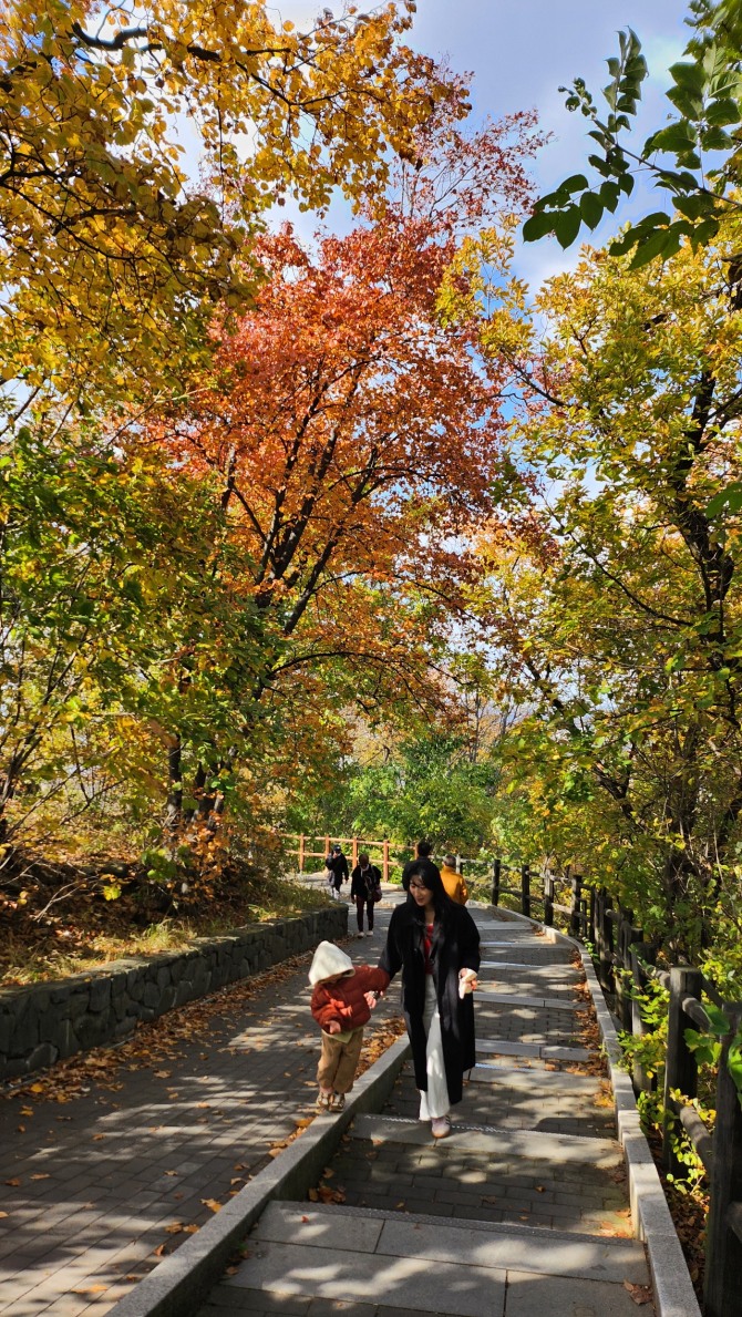 남산의 가을, 백승훈 시인