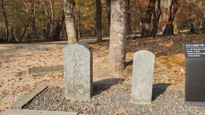 광릉 복자기나무 숲길을 걷다, 백승훈 시인