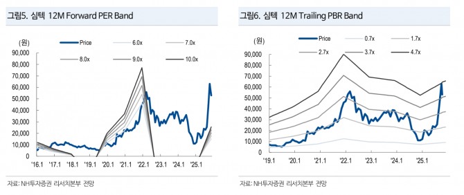 심텍 투자지표. 자료=NH투자증권