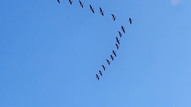 새를 보며 걷는 평화누리길, 백승훈 시인