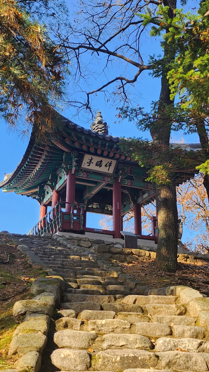 새를 보며 걷는 평화누리길, 백승훈 시인