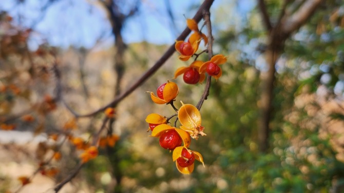 새를 보며 걷는 평화누리길, 백승훈 시인
