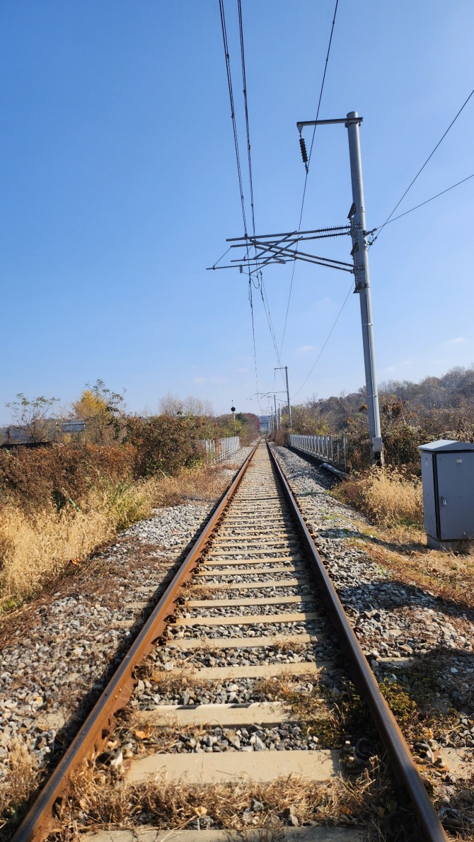 새를 보며 걷는 평화누리길, 백승훈 시인