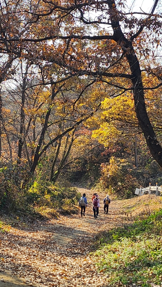 새를 보며 걷는 평화누리길, 백승훈 시인
