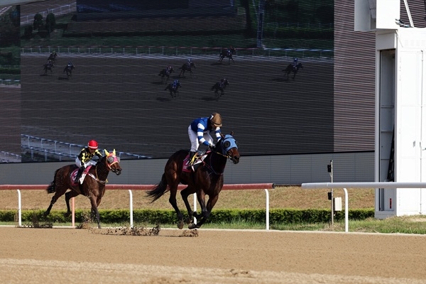 코리안오크스 우승마 판타스틱밸류와 서승운 기수. 사진=렛츠런파크 부산경남