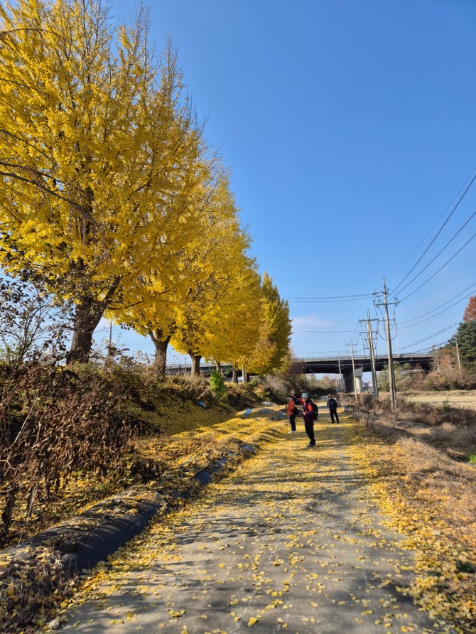 낙엽을 밟으며, 백승훈 시인