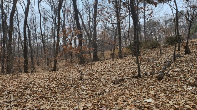 낙엽을 밟으며, 백승훈 시인