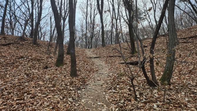 낙엽을 밟으며, 백승훈 시인
