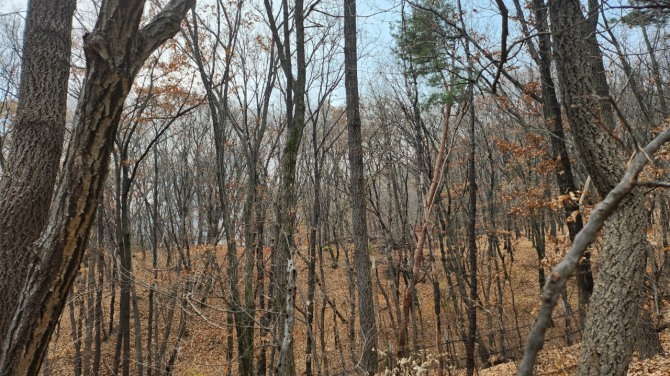 낙엽을 밟으며, 백승훈 시인