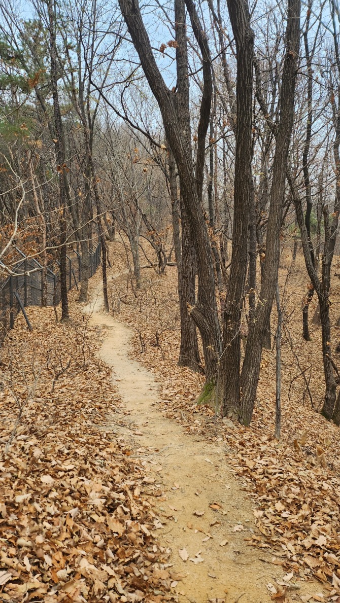 낙엽을 밟으며, 백승훈 시인
