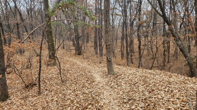 낙엽을 밟으며, 백승훈 시인