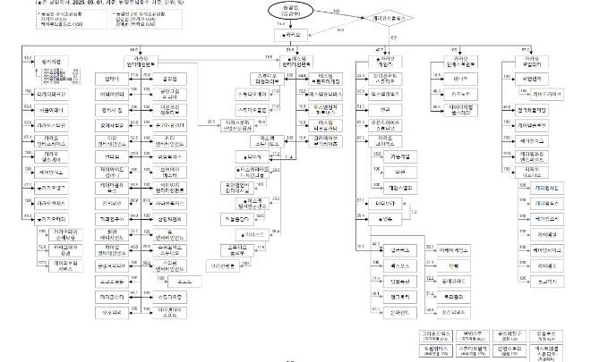지난 5월 공정거래위원회가 공개한 카카오그룹의 기업 현황. 사진=공정거래위원회