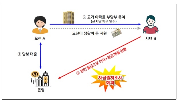 고가 아파트를 부담부증여 받은 후 자금출처 조사를 회피하기 위해 대출 상환은 본인 소득으로, 생활비는 부모 찬스를 활용한 사례. 사진=국세청