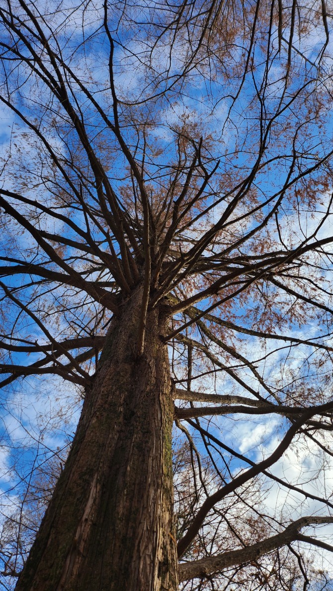 느림의 미학, 백승훈 시인