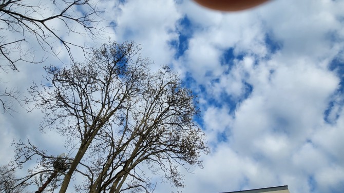 느림의 미학, 백승훈 시인