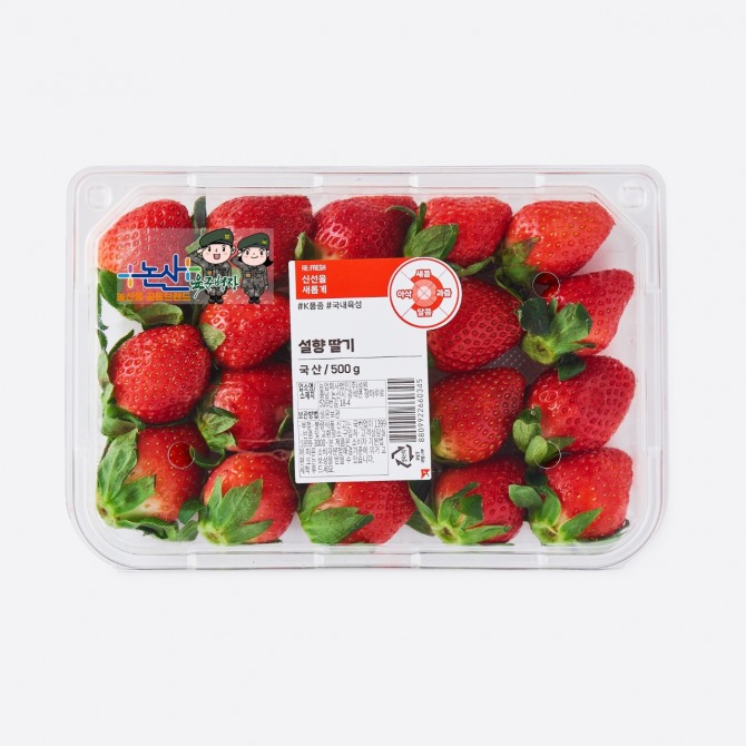 롯데마트 전국 딸기 대전 '논산 설향 딸기'. 사진=롯데마트