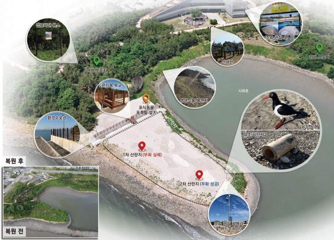 철새도래지 서식처 조성사업_철새서식지. 자료=시흥시