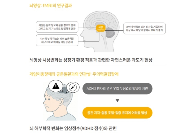 연구해설서 중 뇌의 해부학적 변화를 나타낸 인포그래픽. 사진=콘진원